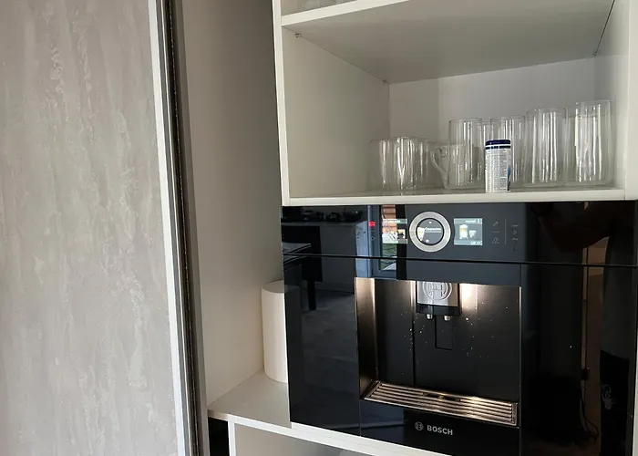 Beautiful Penthouse Lakeview W18 *